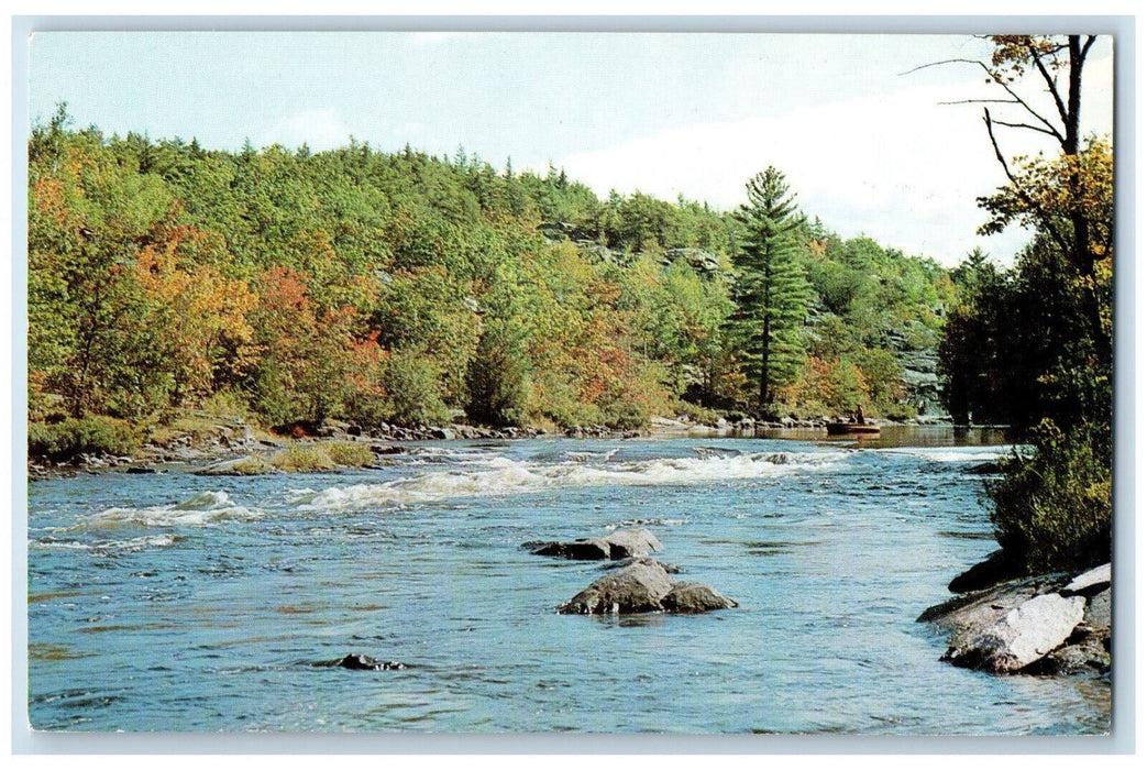 c1950's Greetings from Vancouver Island British Columbia Canada Vintage Postcard