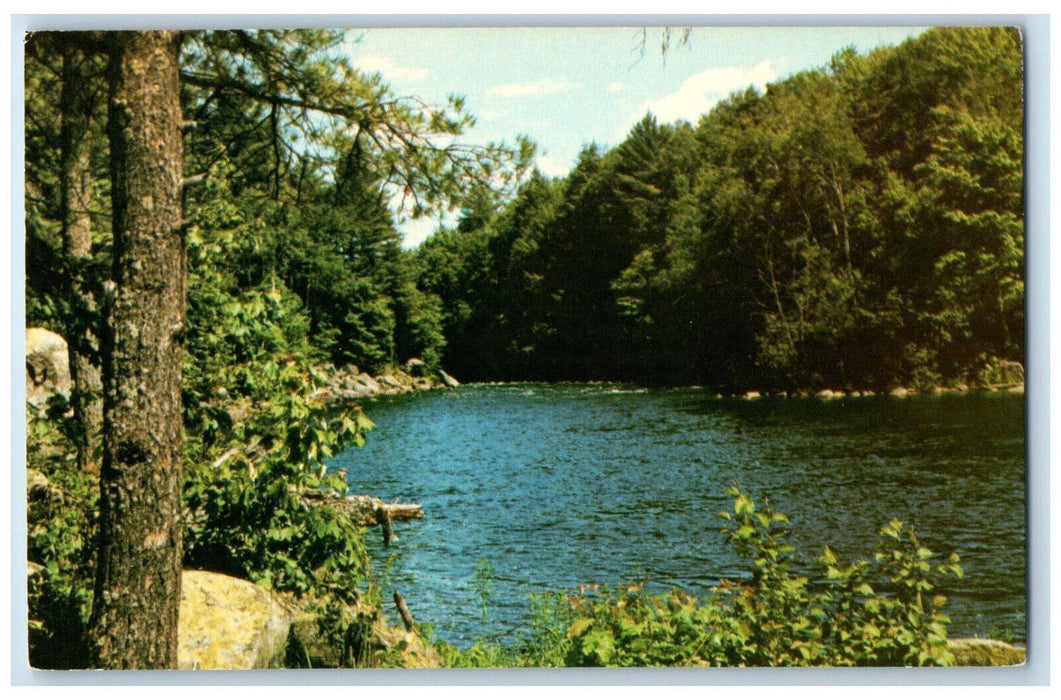 c1960's River Trees Scene Huberdeau Quebec Canada Unposted Vintage Postcard