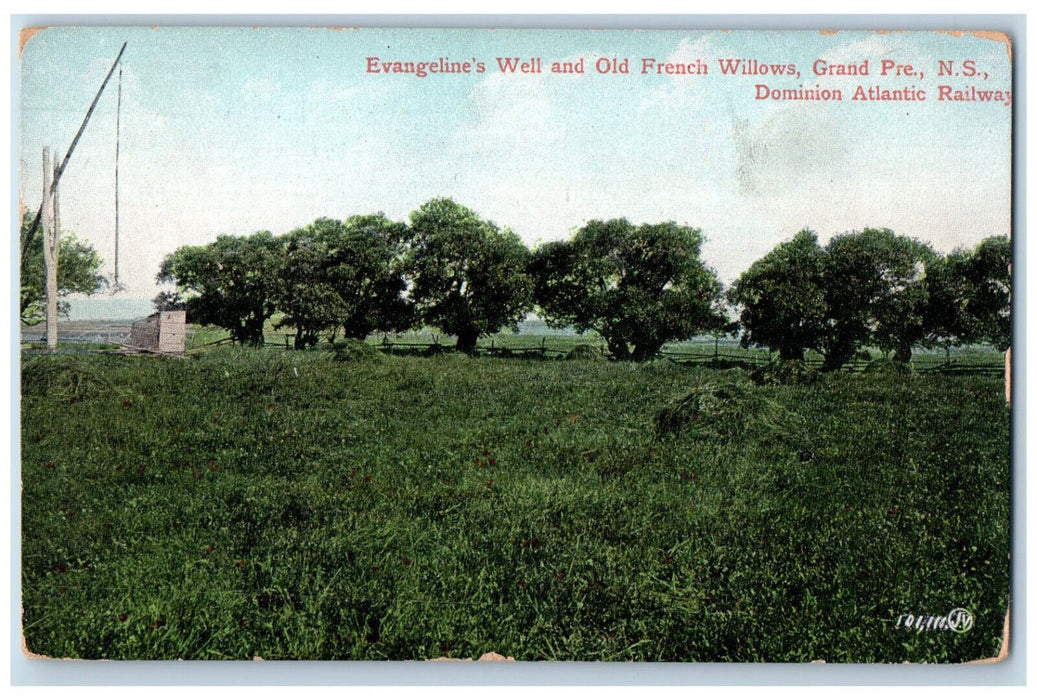 c1905 Evangeline's Well Old French Willows Grand Pre NS Canada Postcard