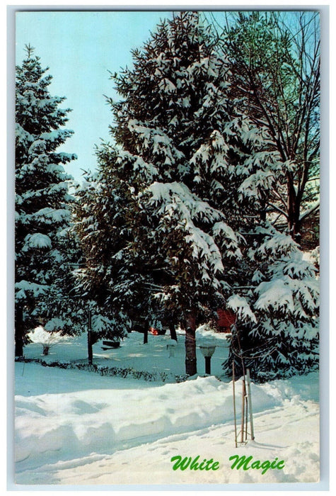 c1960's White Magic Souvenir Restaurant Johnson Laurier Station Postcard