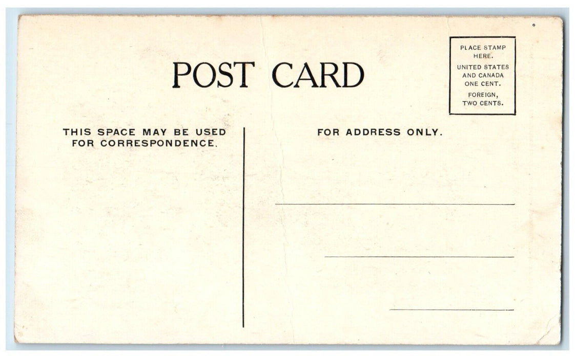c1910's The FS Manning Girl Feather Hat Chicago Illinois IL Antique Postcard