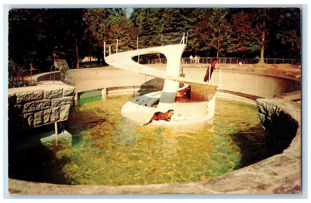 c1950's Otters in Stanley Park Zoo Vancouver British Columbia Canada Postcard
