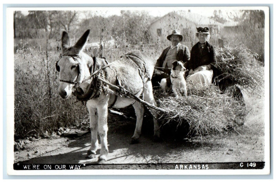 1953 Mule Hay We're On Our Way Lakeview Arkansas AR RPPC Photo Vintage Postcard