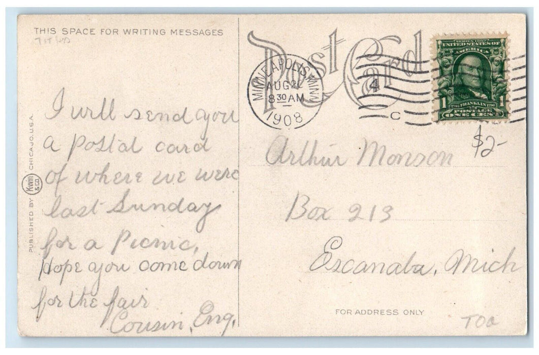 1908 Big Island Park Showing Tower Exterior Road Minneapolis Minnesota Postcard