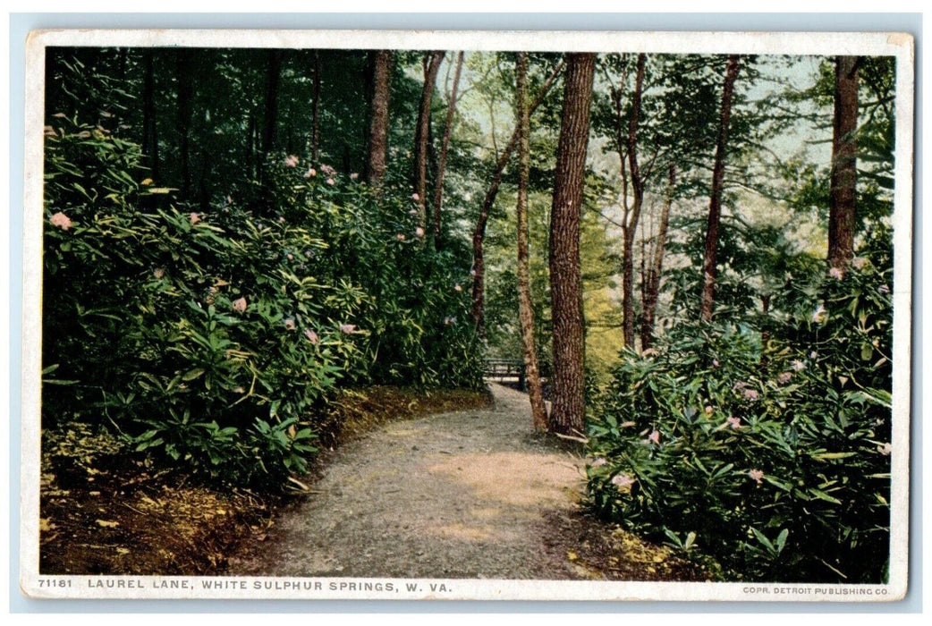 1915 Scenic View Laurel Lane White Sulphur Springs West Virginia W VA Postcard