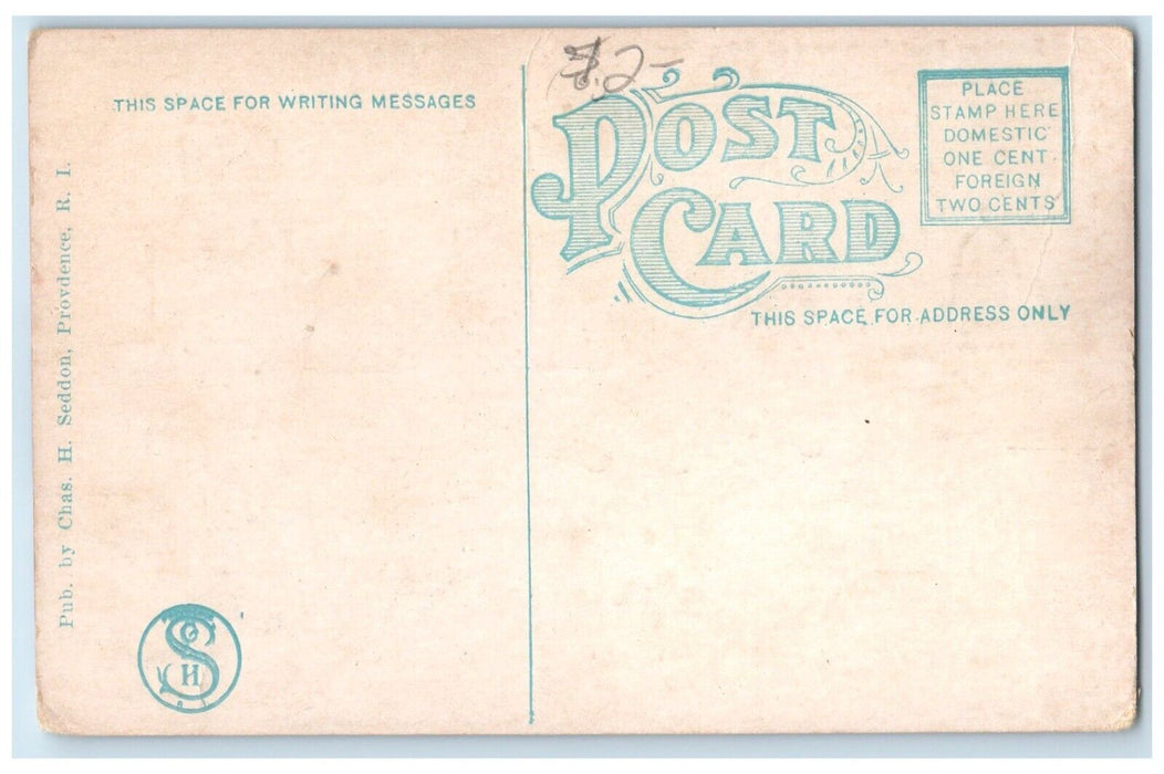 c1910 Roof John Hay Library Providence Rhode Island RI Vintage Unposted Postcard