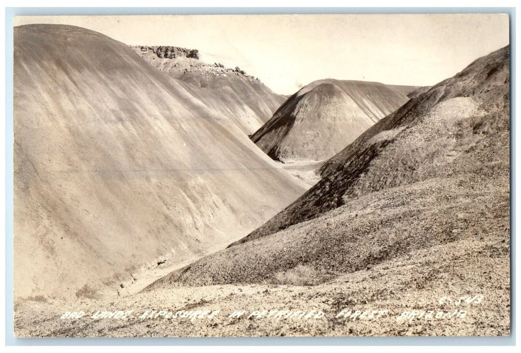 1944 Bad Lands Exposures In Petrified Forest Arizona AZ RPPC Photo Postcard