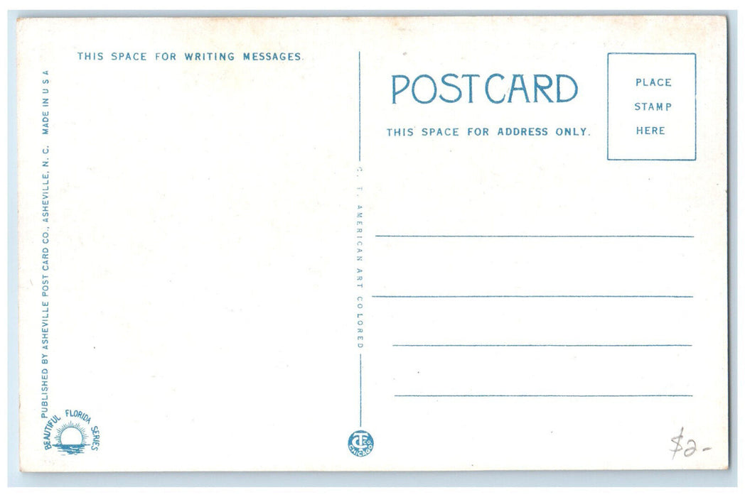 c1930's View from Airplane of Business Section Fort Myers Florida FL Postcard