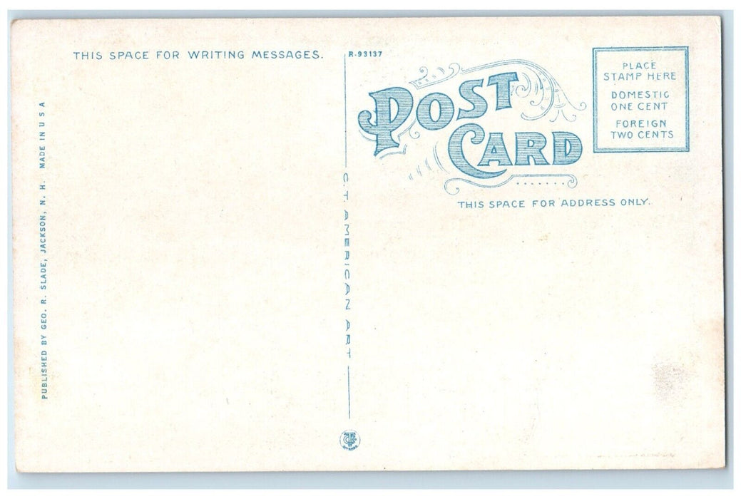 1920 Scenic View Jackson Falls Waterfalls Jackson New Hampshire Antique Postcard
