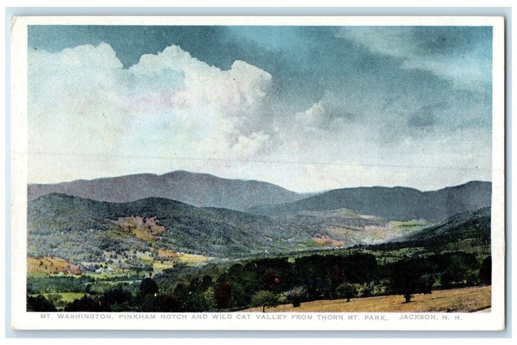 1910 Mt Washington Pinkham Notch Wild Cat Valley Thorn Mt Jackson NH Postcard