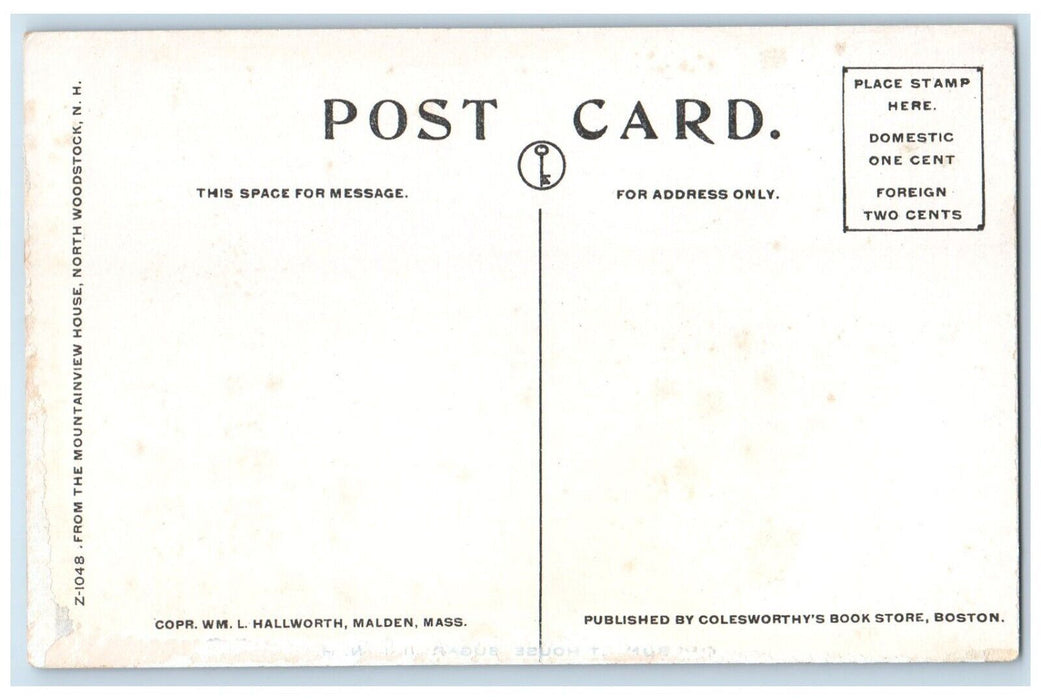 c1910 Aerial View Mountainview House North Woodstock New Hampshire NH Postcard