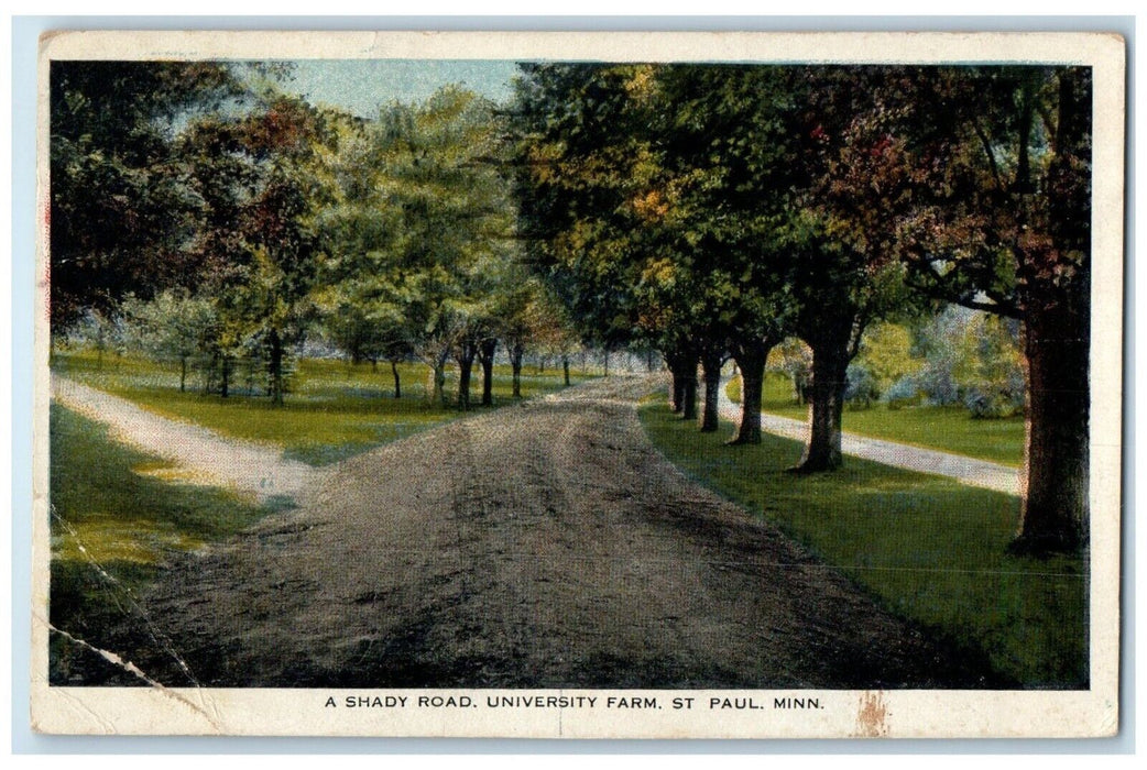 1929 Shady road University Farm Trees St Paul Minnesota Antique Vintage Postcard