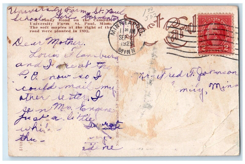 1929 Shady road University Farm Trees St Paul Minnesota Antique Vintage Postcard