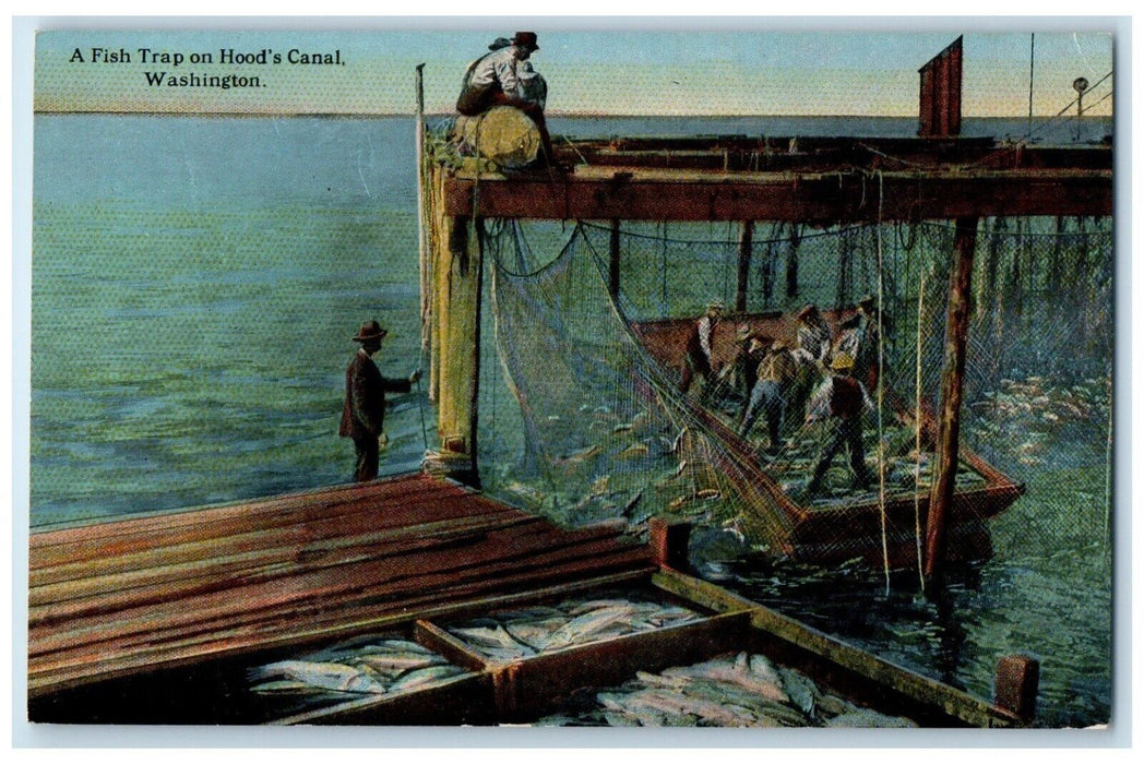 c1910 Fish Trap Hood's Canal Fishing Net Washington WA Vintage Antique Postcard