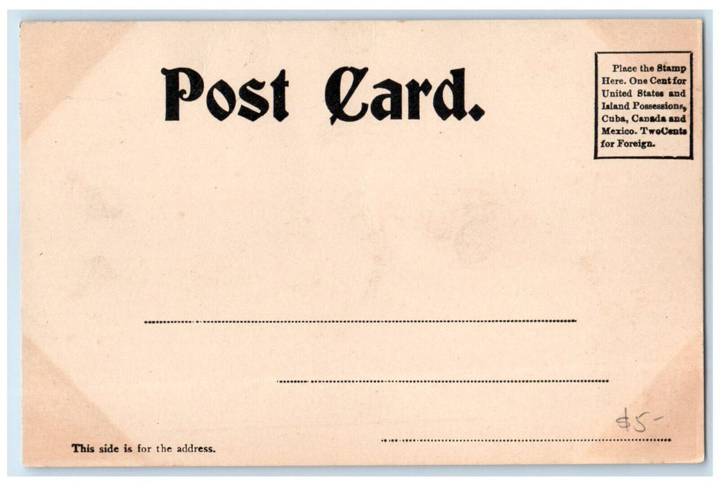 c1905 Seneca Lake From R.R. Station Sailboat Steamer Watkins New York Postcard