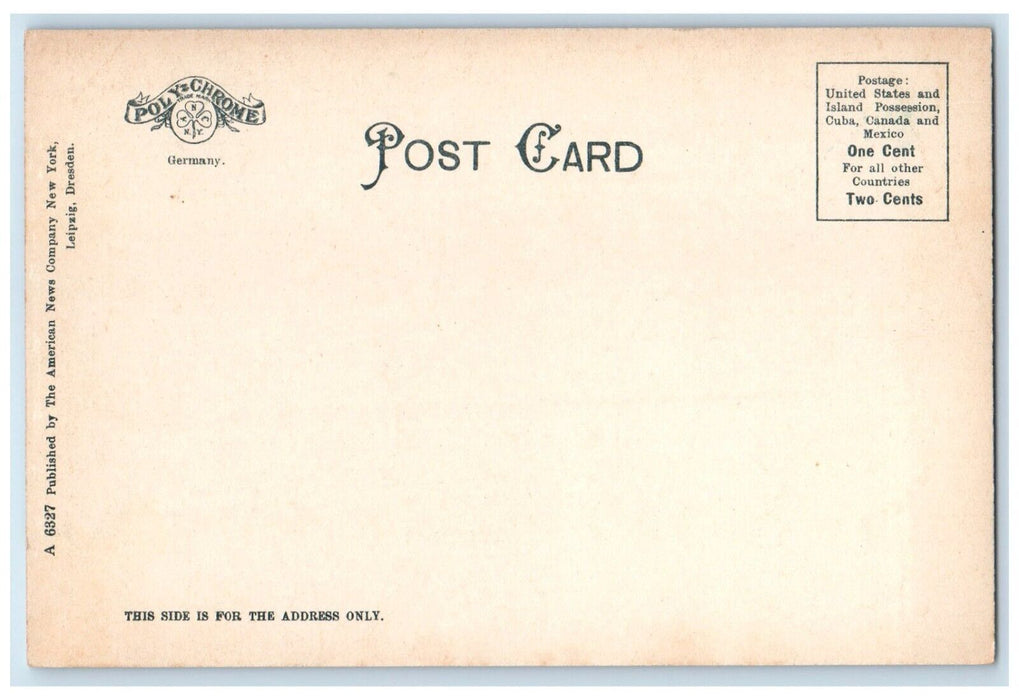 c1905 Scenic View Mt Washington Saco River Intervale New Hampshire NH Postcard