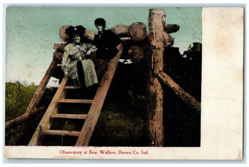 c1910s Observatory At Bear Wallow Brown County Indiana IN, Woman Ladder Postcard