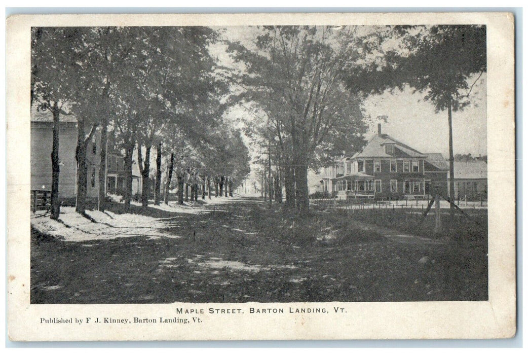 c1905 Maple Street Tree House Dirt Road Barton Landing Vermont VT Postcard