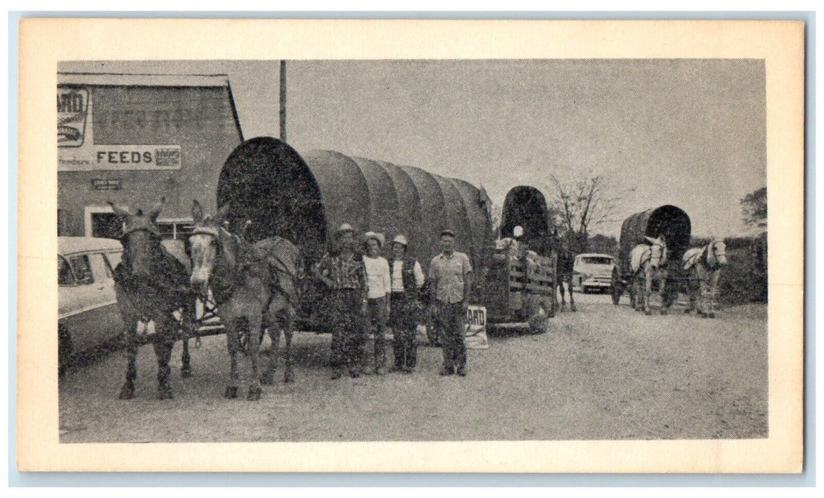 c1905 Amarillo Texas Pioneers To New York World's Fair Horses Antique Postcard