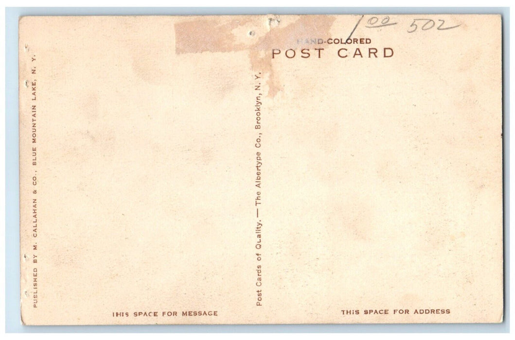 c1940 View From Boat Landing Blue Mountain Lake Adirondack Mountains NY Postcard