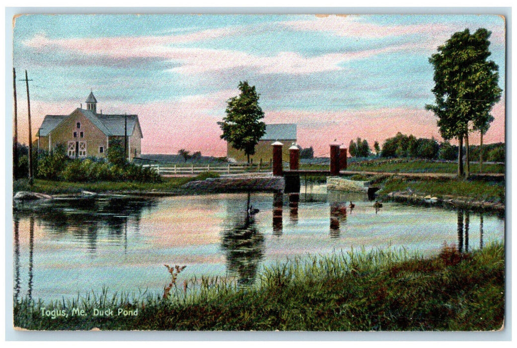 1909 View of Duck Pond Togus Maine ME Antique Posted HC Leighton Postcard