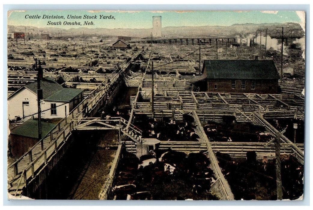 1912 Cattle Division Union Stock Yards South Omaha Nebraska NE Antique Postcard