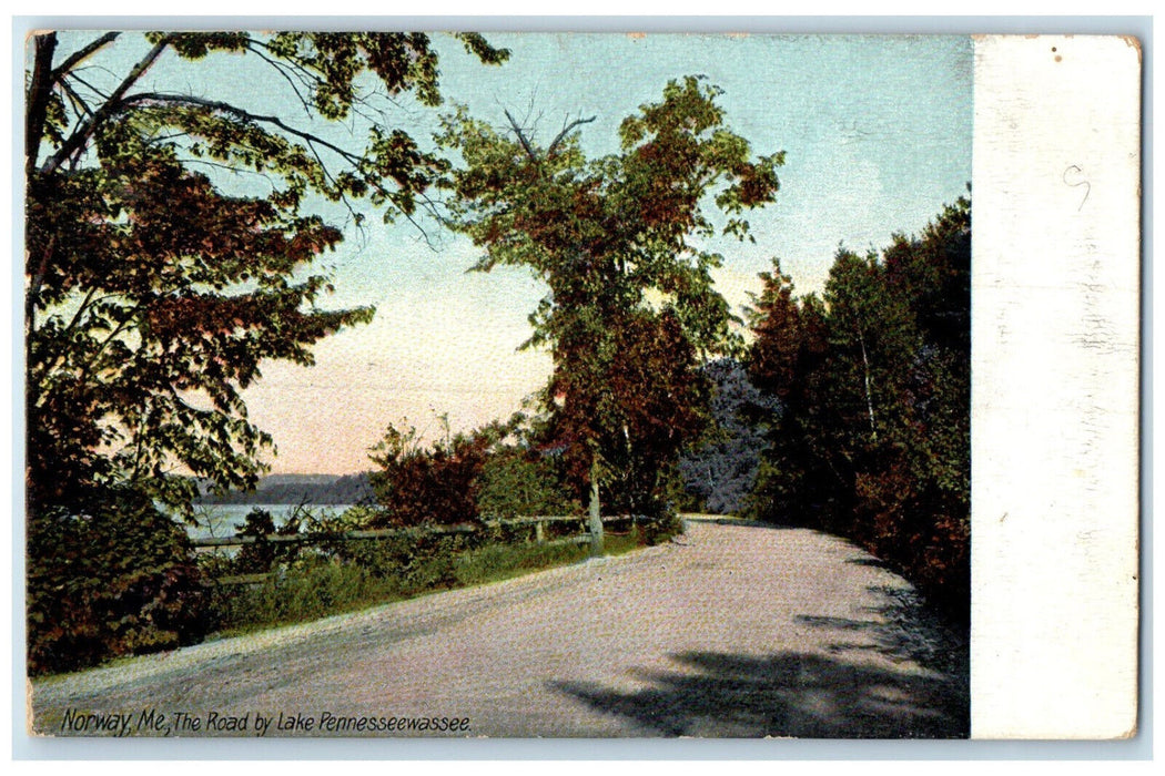 c1910 The Road By Lake Pennesseewassee Norway Maine ME Antique Posted Postcard