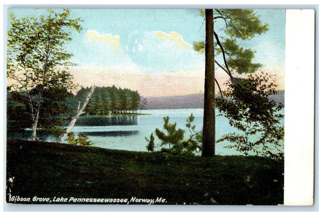 c1905 Gibson Grove Lake Pennesseewassee Norway Maine ME Antique Postcard