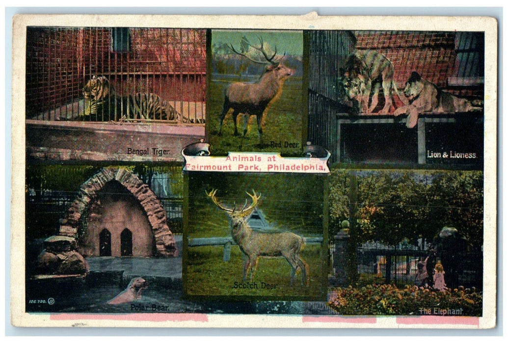 c1940's Animals at Fairmount Park Philadelphia PA Multiview Postcard