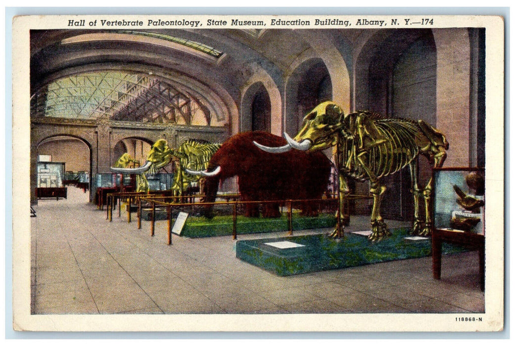 1956 Hall of Vertebrate Paleontology State Museum Albany New York NY Postcard