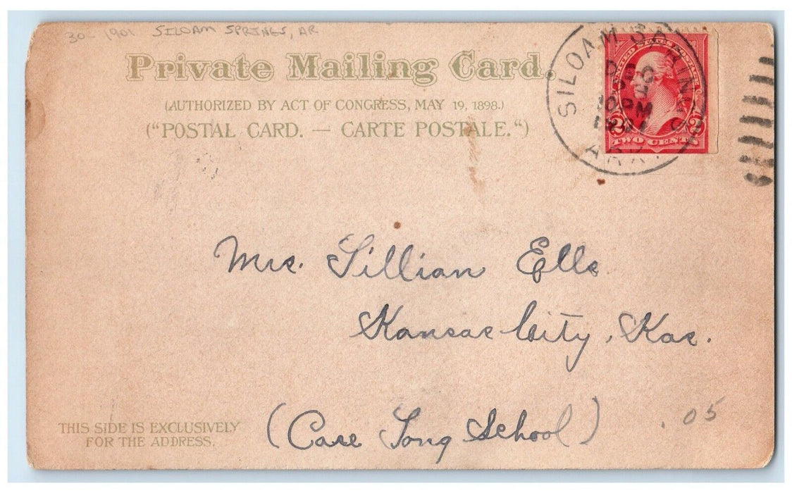 1901 Christmas Flowers Siloam Springs Arkansas AR Posted Antique Postcard
