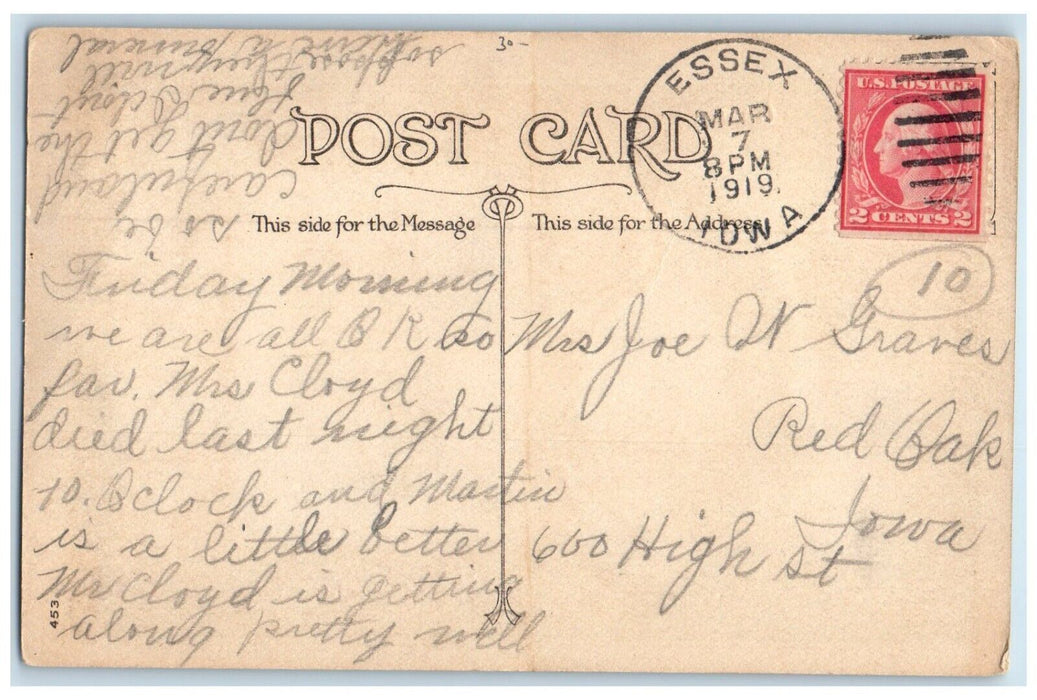 1919 Best Wishes Flowers Essex Iowa IA Hoover Phila Posted Antique Postcard