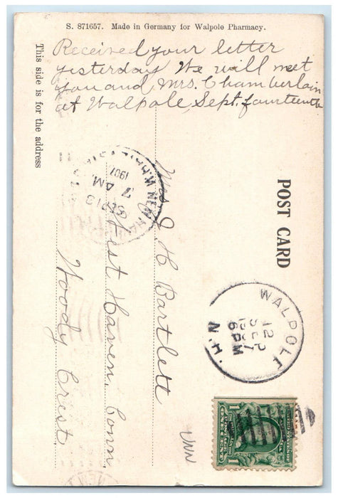 1907 Birds Eye View Connecticut River Walpole New Hampshire NH Posted Postcard