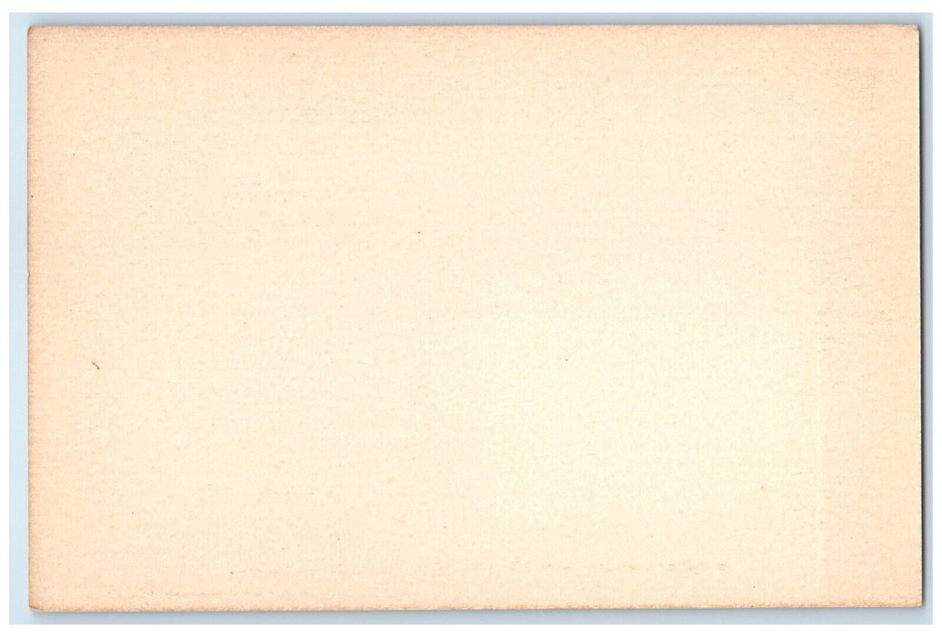 c1940's Widener Library Collection Harvard University Cambridge MA Postcard