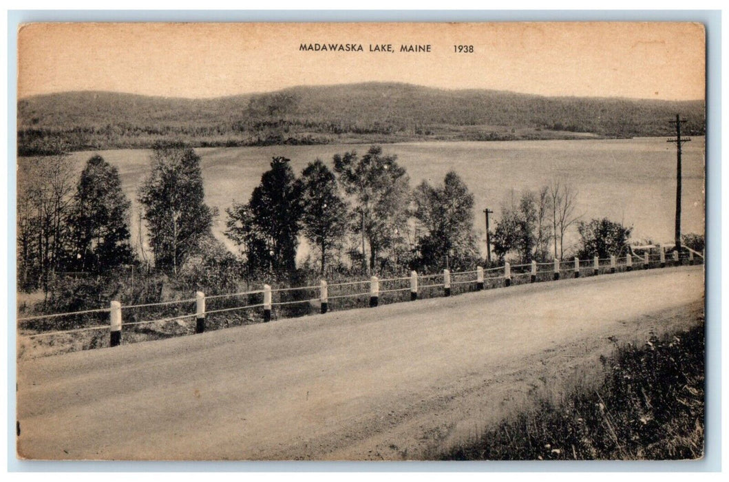 1910 Scenic View Madawaska Lake Road Trees Street Maine Vintage Antique Postcard