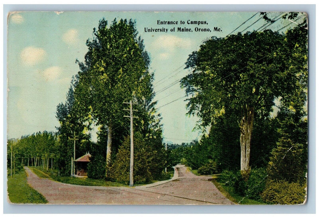 1913 Entrance Two Way Road Trees Campus University Maine Orono Maine ME Postcard