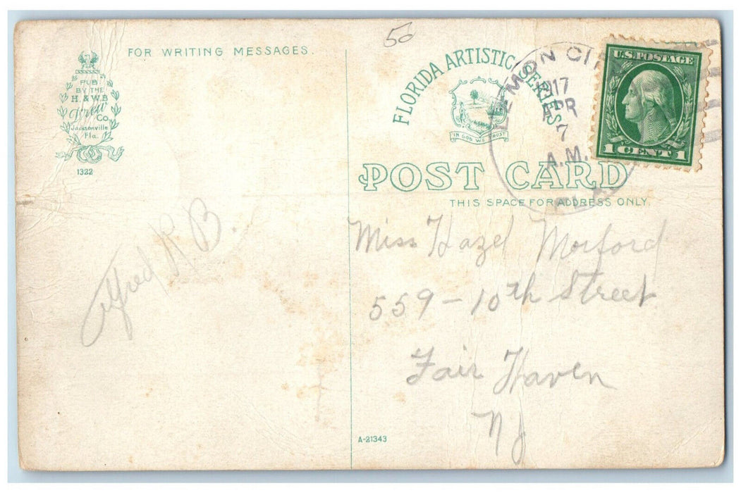 1917 Scene of Young Pelicans Lemon City Florida FL Antique Possted Postcard
