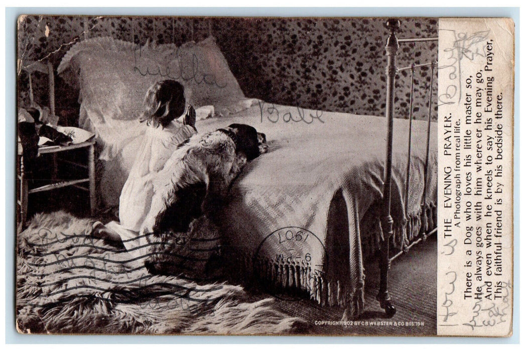 1907 Evening Prayer Luella Babe Dog Praying Wolcott Connecticut CT Postcard
