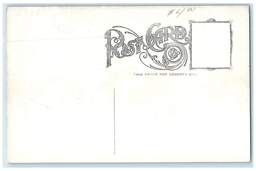c1910 Red Rocks Home William Allen White Horse Carriage Emporia Kansas Postcard