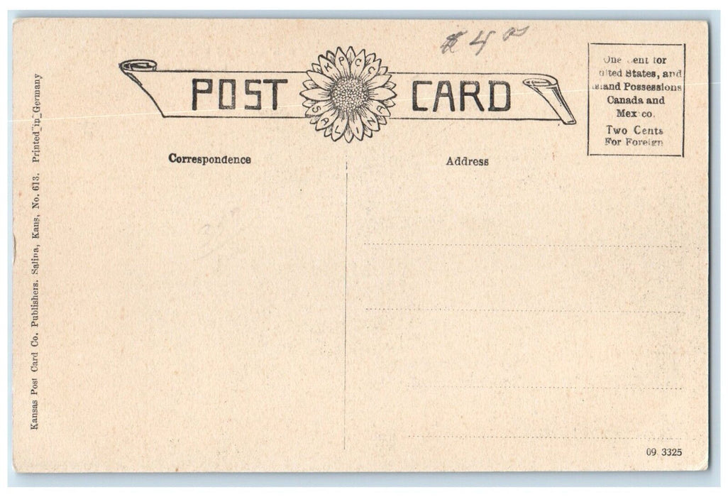 c1909 Girls' Dormitory Enterprise Normal College Enterprise Kansas KS Postcard