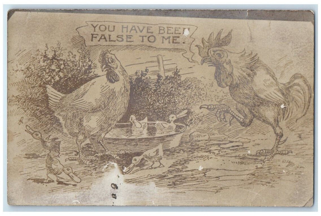 c1905 Chickens Rooster Ducklings Wife Cheating Comic Humor RPPC Photo Postcard