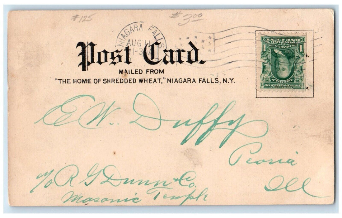 1907 The Home Of Shredded Wheat Niagara Falls New York NY Waterfalls Postcard