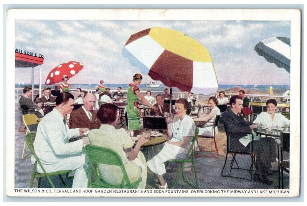 The Wilson & Co. Terrace Roof Garden Restaurant And Soda Fountains Postcard