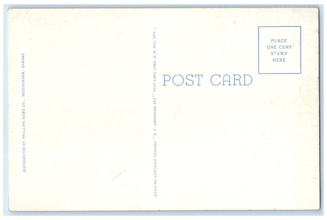 c1940 Birds-Eye View Carey Municipal Park Hutchinson Kansas KS Vintage Postcard