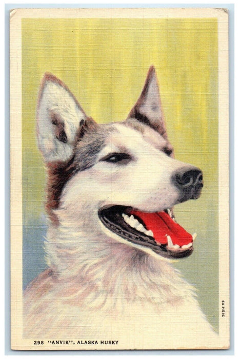 c1930's Anvik Alaska Husky Dog Animals Seattle Washington WA Vintage Postcard
