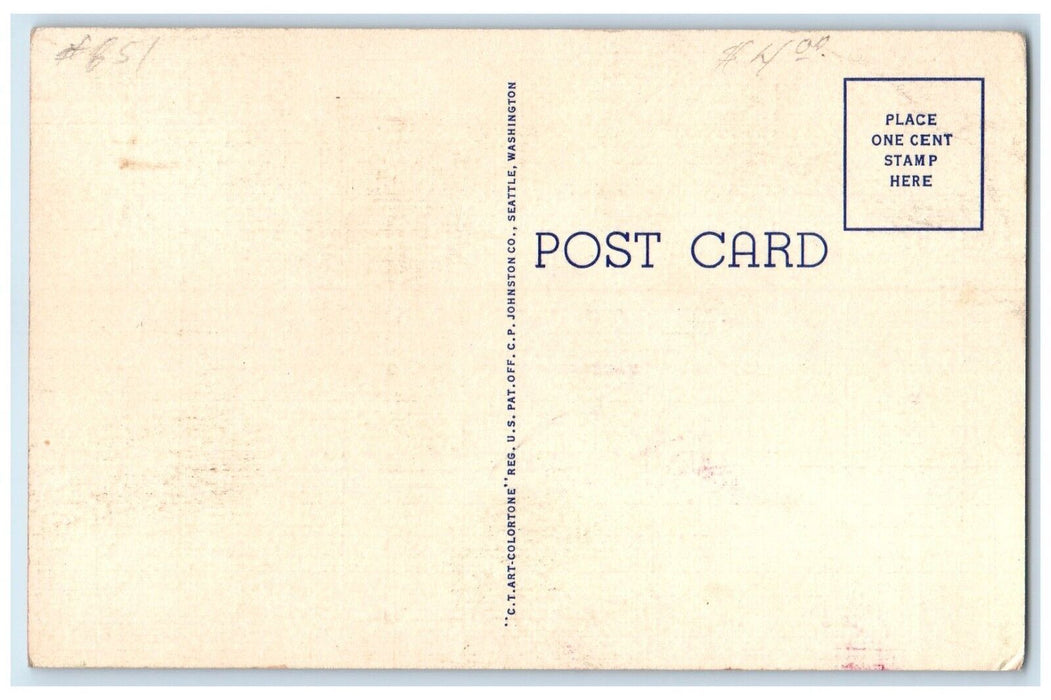 c1930's Anvik Alaska Husky Dog Animals Seattle Washington WA Vintage Postcard