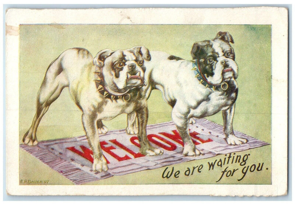 1913 Bulldog Dog Welcome Rug We Are Waiting For You Glade Kansas KS Postcard