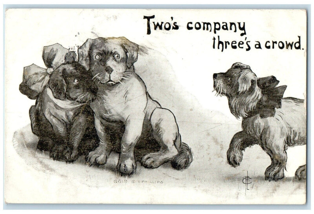 c1910's Dogs Two's Company Three's A Crowd Madison South Dakota SD Postcard