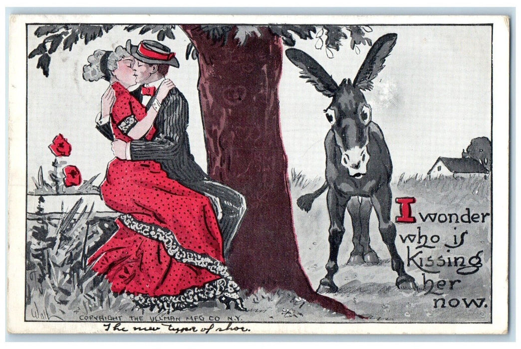 c1910's Sweet Couple Kissing Romance Donkey Madison South Dakota SD Postcard