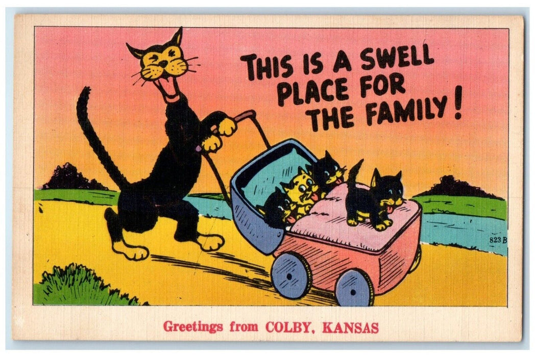 1940 Greetings From Colby Kansas KS Cat Kittens Animal Antique Vintage Postcard